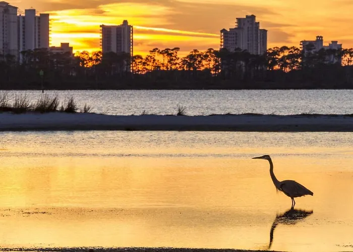 Resting Face Pensacola